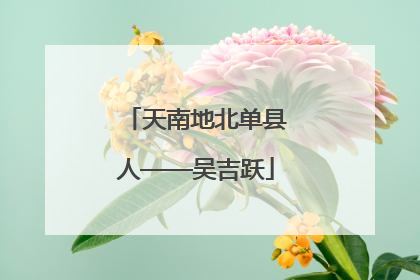 天南地北单县人——吴吉跃
