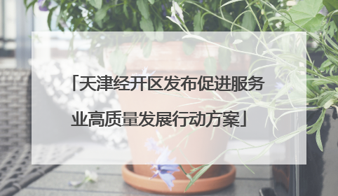 天津经开区发布促进服务业高质量发展行动方案