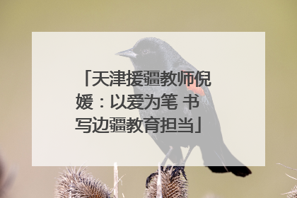 天津援疆教师倪媛：以爱为笔 书写边疆教育担当