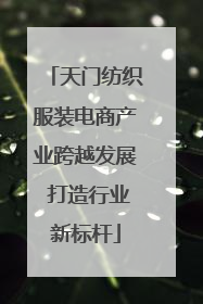 天门纺织服装电商产业跨越发展 打造行业新标杆