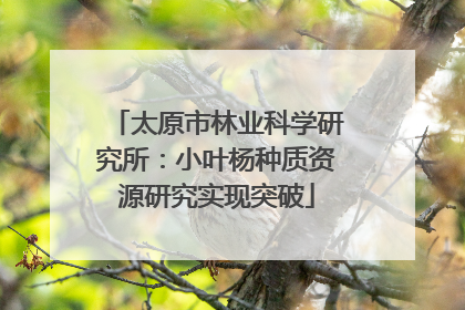 太原市林业科学研究所：小叶杨种质资源研究实现突破
