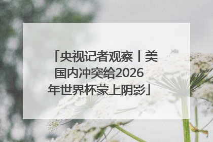 央视记者观察丨美国内冲突给2026年世界杯蒙上阴影