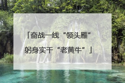奋战一线“领头雁” 躬身实干“老黄牛”