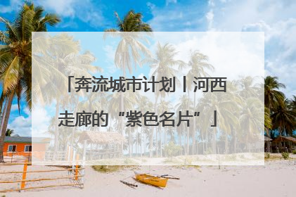 奔流城市计划丨河西走廊的“紫色名片”