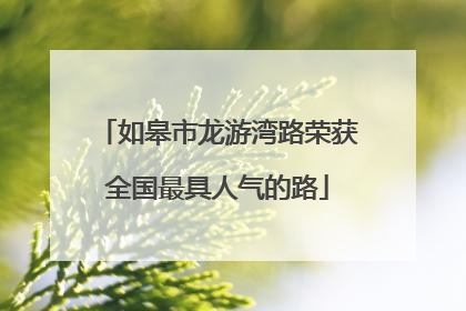 如皋市龙游湾路荣获全国最具人气的路
