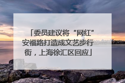委员建议将“网红”安福路打造成文艺步行街，上海徐汇区回应