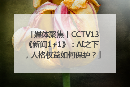 媒体聚焦丨CCTV13《新闻1+1》：AI之下，人格权益如何保护？