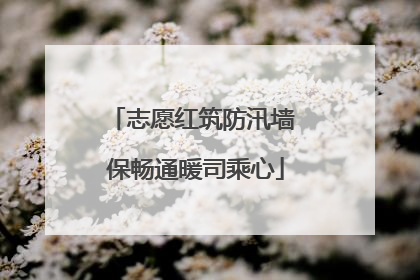 志愿红筑防汛墙 保畅通暖司乘心