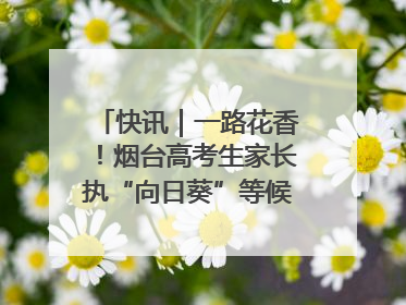快讯｜一路花香！烟台高考生家长执“向日葵”等候高考结束