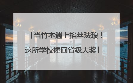 当竹木遇上掐丝珐琅！这所学校捧回省级大奖
