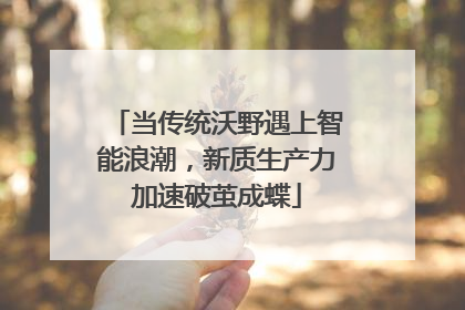 当传统沃野遇上智能浪潮，新质生产力加速破茧成蝶