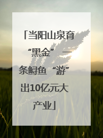 当阳山泉育“黑金” 一条鲟鱼“游”出10亿元大产业