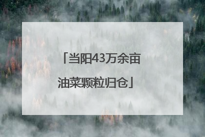 当阳43万余亩油菜颗粒归仓