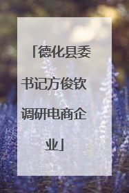 德化县委书记方俊钦调研电商企业
