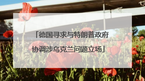 德国寻求与特朗普政府协调涉乌克兰问题立场