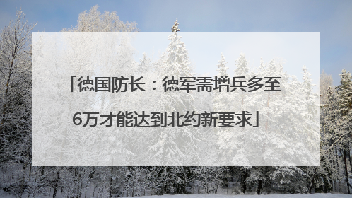 德国防长：德军需增兵多至6万才能达到北约新要求