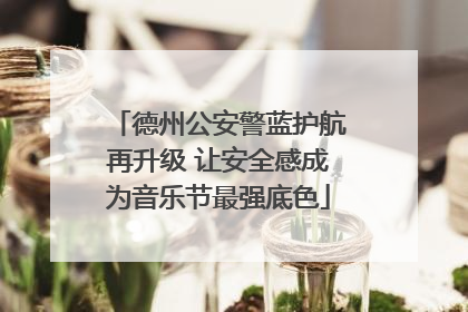 德州公安警蓝护航再升级 让安全感成为音乐节最强底色