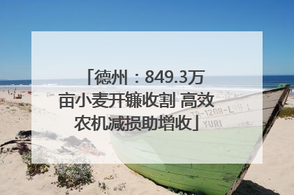 德州：849.3万亩小麦开镰收割 高效农机减损助增收