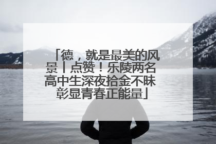 德，就是最美的风景丨点赞！乐陵两名高中生深夜拾金不昧 彰显青春正能量
