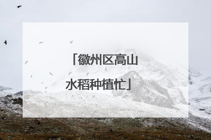 徽州区高山水稻种植忙