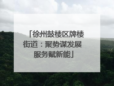 徐州鼓楼区牌楼街道：聚势谋发展 服务赋新能