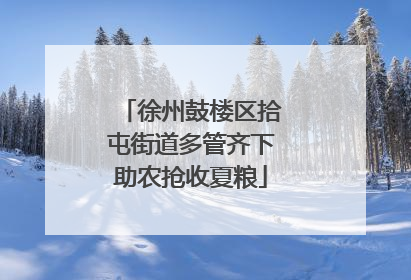 徐州鼓楼区拾屯街道多管齐下助农抢收夏粮