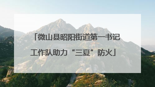 微山县昭阳街道第一书记工作队助力“三夏”防火
