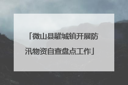 微山县驩城镇开展防汛物资自查盘点工作