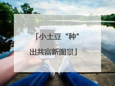 小土豆“种”出共富新图景