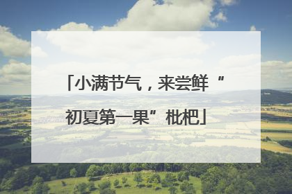 小满节气，来尝鲜“初夏第一果”枇杷