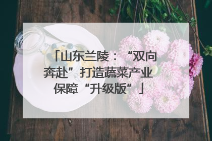 山东兰陵：“双向奔赴”打造蔬菜产业保障“升级版”
