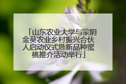 山东农业大学与蒙阴金葵农业乡村振兴合伙人启动仪式暨新品种蜜桃推介活动举行