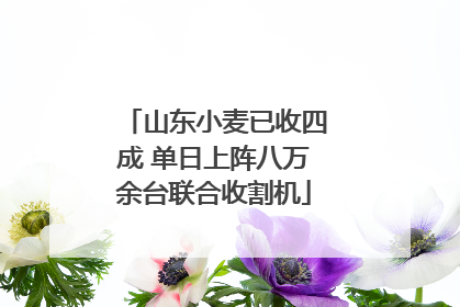 山东小麦已收四成 单日上阵八万余台联合收割机