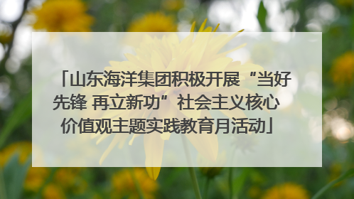 山东海洋集团积极开展“当好先锋 再立新功”社会主义核心价值观主题实践教育月活动