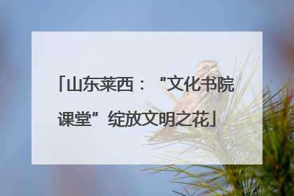山东莱西：“文化书院课堂”绽放文明之花