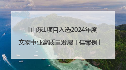 山东1项目入选2024年度文物事业高质量发展十佳案例