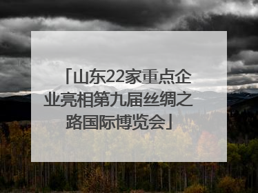山东22家重点企业亮相第九届丝绸之路国际博览会