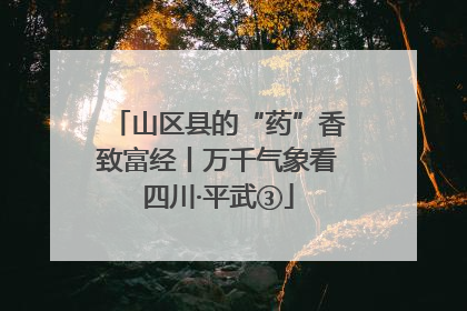 山区县的“药”香致富经丨万千气象看四川·平武③