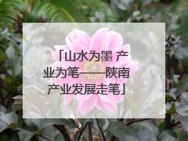 山水为墨 产业为笔——陕南产业发展走笔