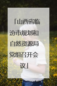 山西省临汾市规划和自然资源局党组召开会议