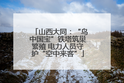山西大同：“鸟中国宝”铁塔筑巢繁殖 电力人员守护“空中来客”