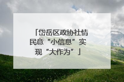 岱岳区政协社情民意“小信息”实现“大作为”