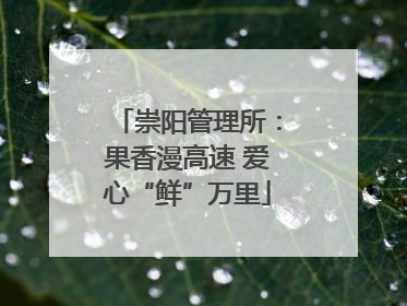 崇阳管理所：果香漫高速 爱心“鲜”万里