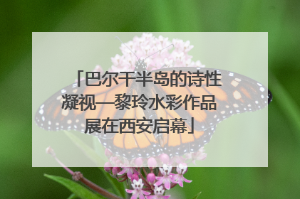 巴尔干半岛的诗性凝视—黎玲水彩作品展在西安启幕
