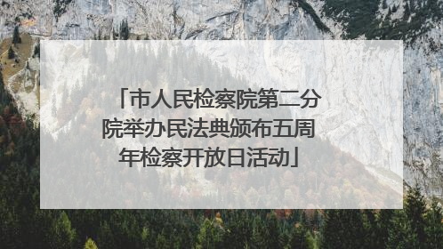 市人民检察院第二分院举办民法典颁布五周年检察开放日活动