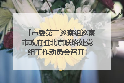 市委第二巡察组巡察市政府驻北京联络处党组工作动员会召开