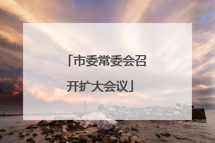 市委常委会召开扩大会议
