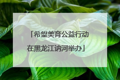 希望美育公益行动在黑龙江讷河举办