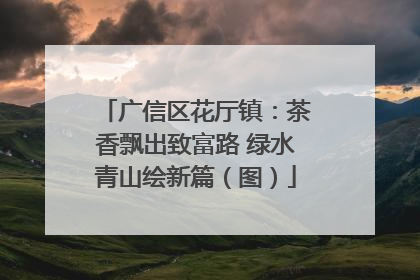 广信区花厅镇：茶香飘出致富路 绿水青山绘新篇（图）