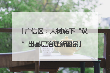 广信区：大树底下“议”出基层治理新图景